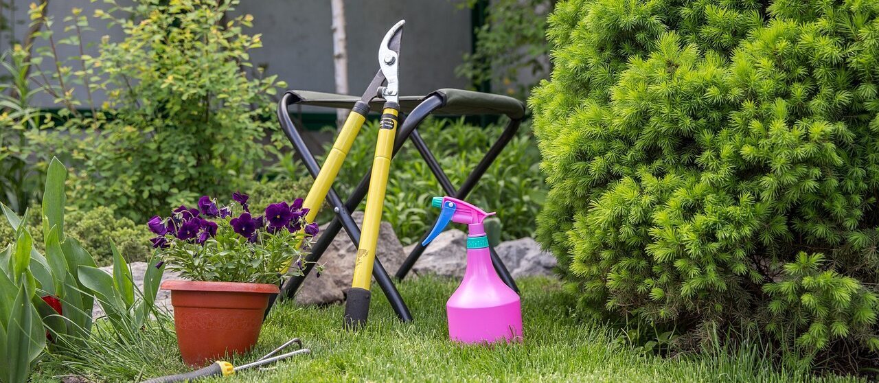 Gardening as a Hobby: Benefits, Types, and How to Get Started